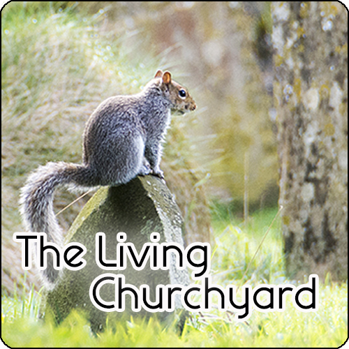 Icon to link to the Living Churchyard page. Opens a new window.